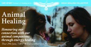 Energy Healing for Animals